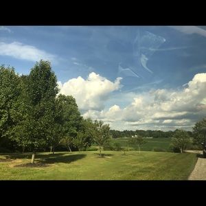 Meet your Posher, Autumn